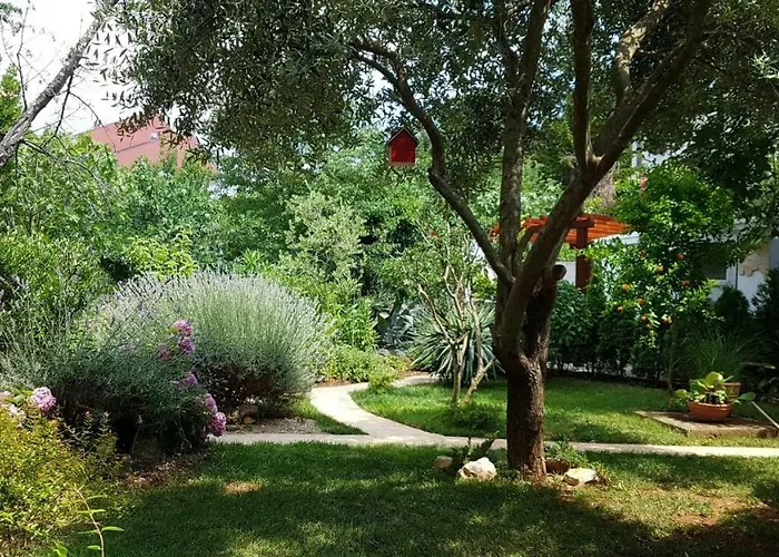 Apartment Iva
